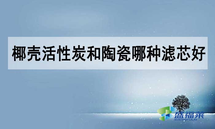 椰殼活性炭和陶瓷哪種濾芯好？如何選擇？